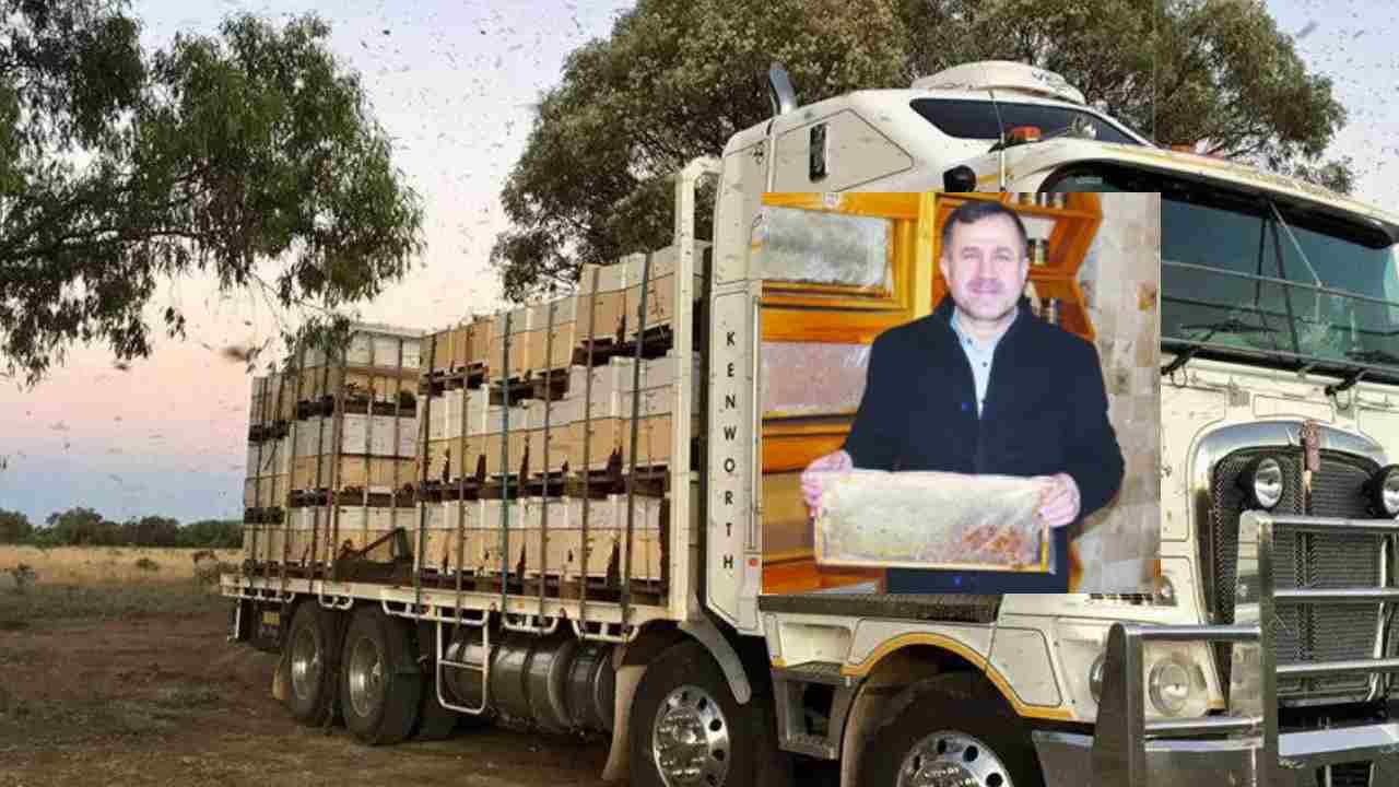 Mazot Fiyatları Arıcıları Zor Durumda Bıraktı