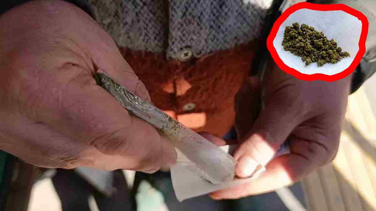 Maraş Otu Kullanımı: Sağlığa Ciddi Riskler Uyarısı