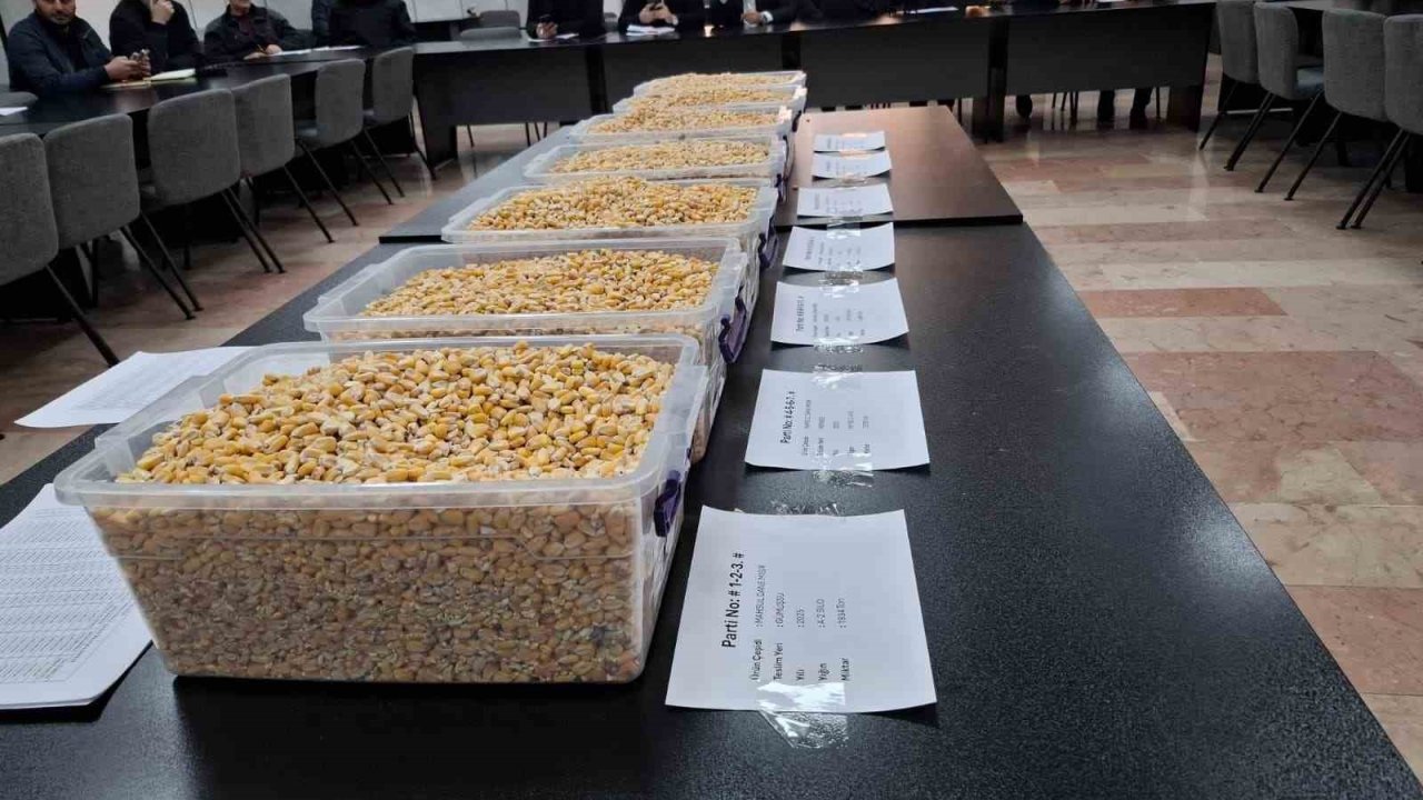 TİGEM’den 13,5 Ton Mısır Satışı Gerçekleşti!