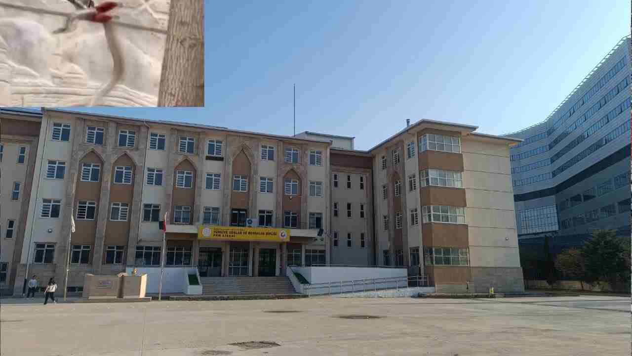 TOBB Fen Lisesi’nde Yılan Panik Yarattı!