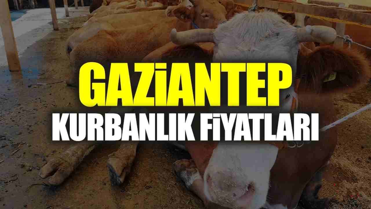 Kurbanlık Fiyatları Zirve Yaptı: Dudak Uçuklatan Rakamlar!