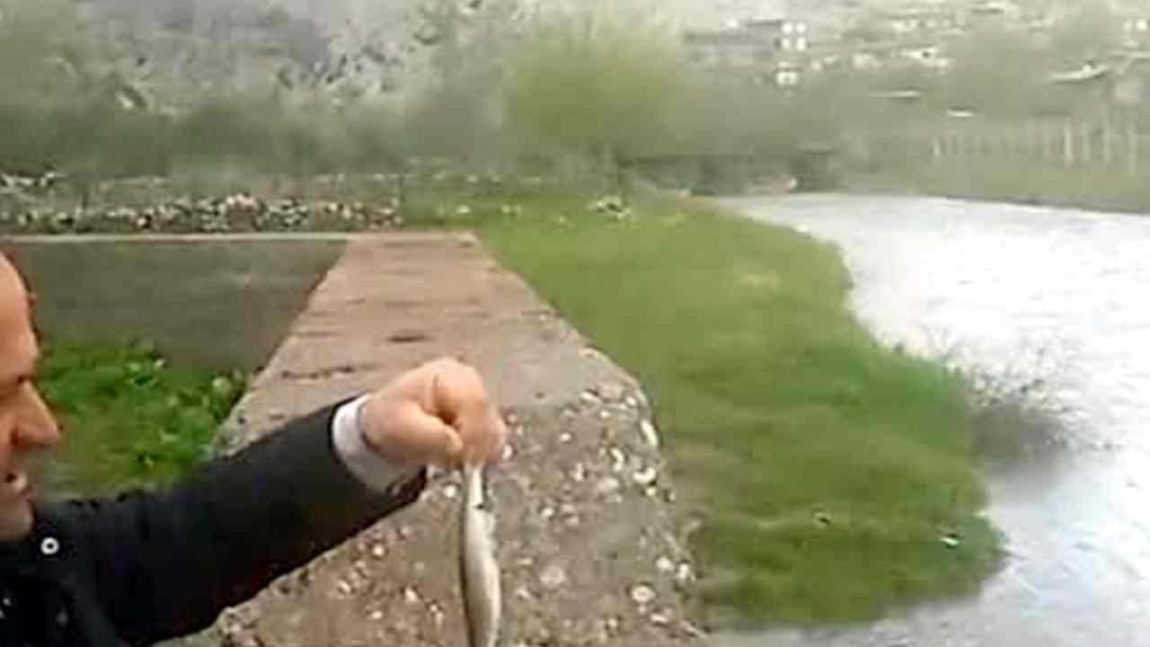 Ardıl Çayı Yeniden Akmaya Başladı, Vatandaşlar Sevindi! Ardıl Çayı Yeniden Akmaya Başladı, Vatandaşlar Sevindi!
