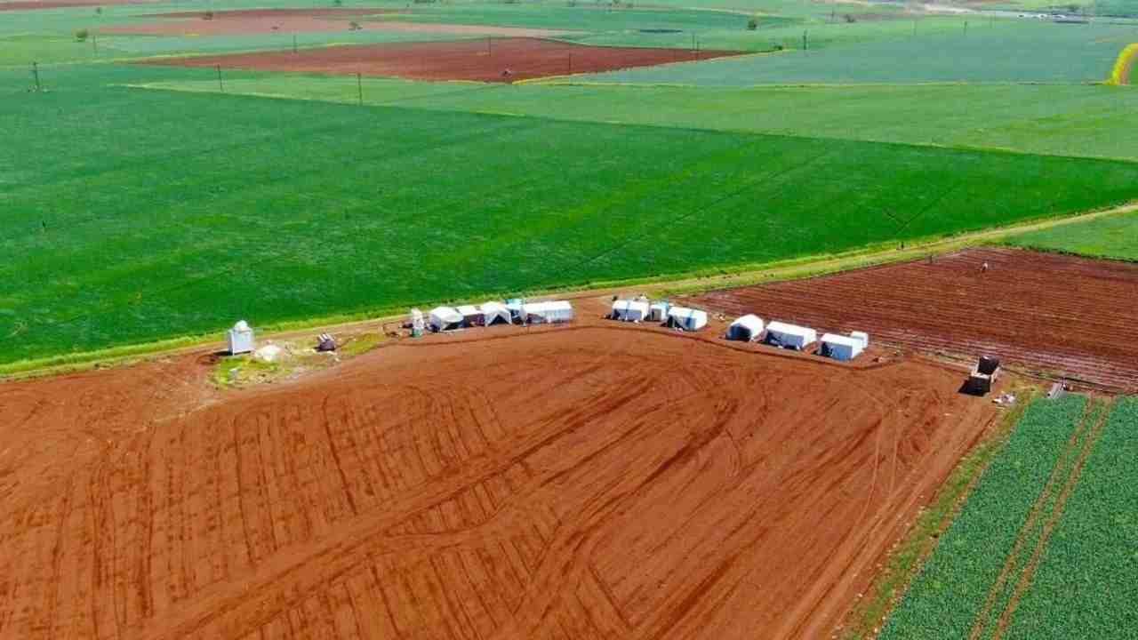 Gaziantep Tarımında Kriz: Maliyetler Yükseliyor!