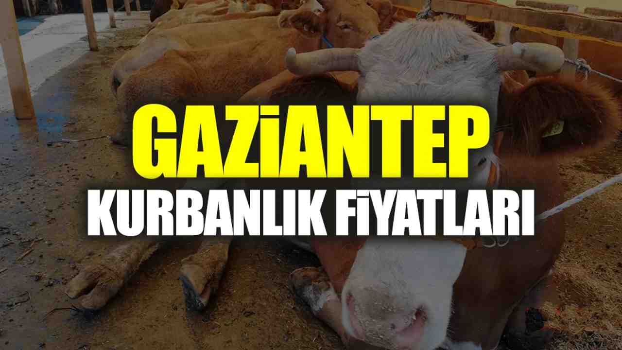 Kurban Bayramı İçin Dengeli Fiyat Politikası Açıklandı!