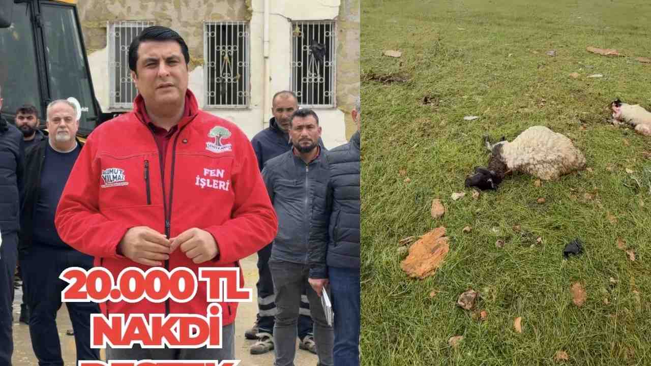Gaziantep’te Fırtına Yaraları İçin Nakdi Yardım! Gaziantep’te Fırtına Yaraları İçin Nakdi Yardım!