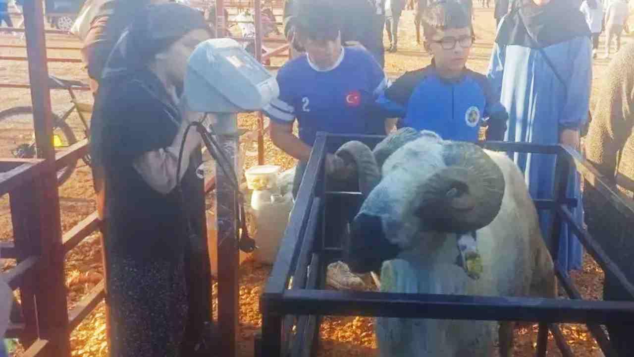 Kurban Pazarı’nda Kantar Ücreti İsyanı!