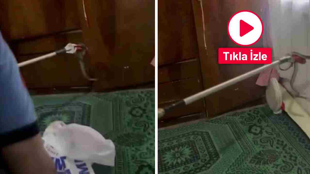 Gaziantep’te Yılan Panik Yarattı, İtfaiye Kurtardı!