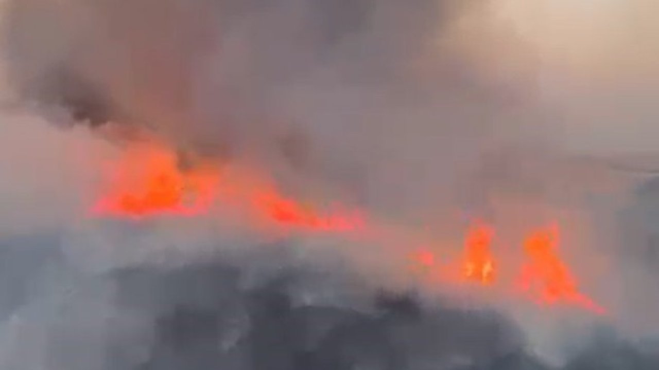 Rüzgarla Yaygınlaşan Yangında Tarım Arazisi Zarar Gördü