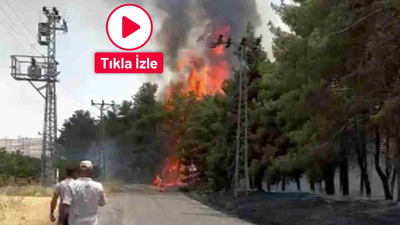 Nizip’te Orman Yangınına Hızla Müdahale Edildi