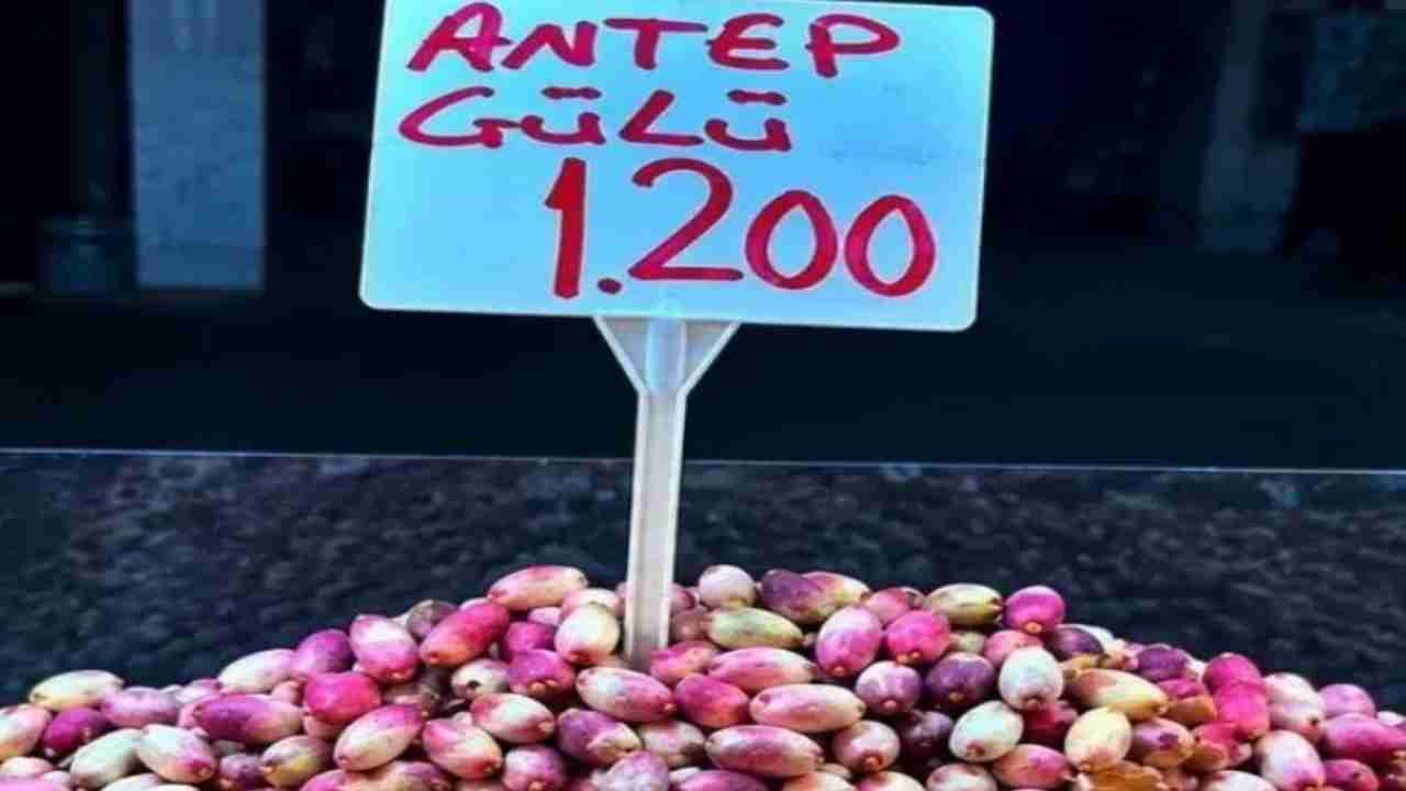 Taze Fıstığın Fiyatı Geçen Yıla Göre İki Katına Çıktı!