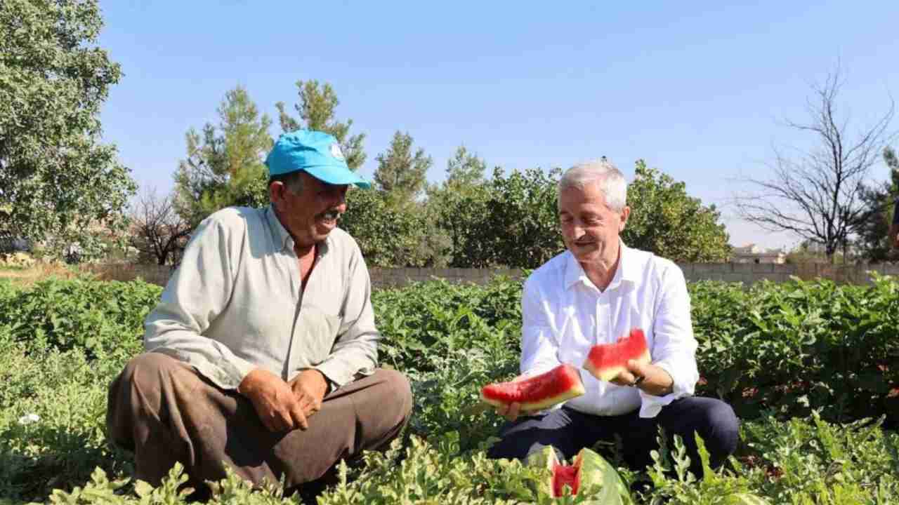 Başkan Tahmazoğlu’ndan Çiftçilere Fide Desteği Ziyareti