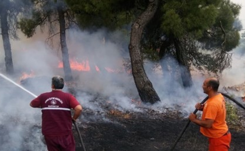 Gaziantep'te korkutan orman yangını