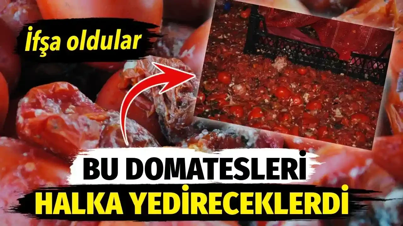 Şanlıurfa’da küflü salça ve çürük domates baskını
